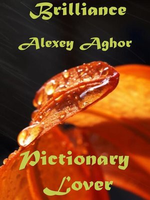 cover image of Pictionary Lover